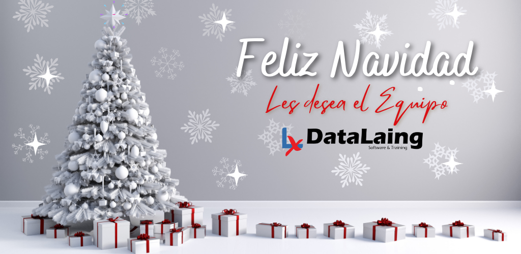 Inicia el 2024 organizando tus días con #DataLaing, descarga nuestro Calendario